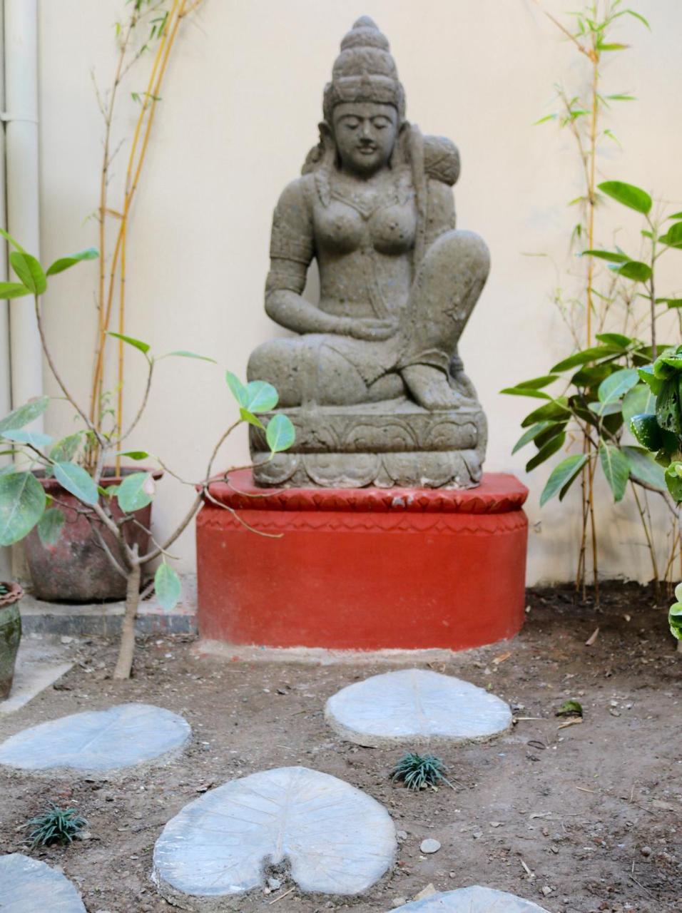 فندق Mango Tree Courtyard دهرادون المظهر الخارجي الصورة